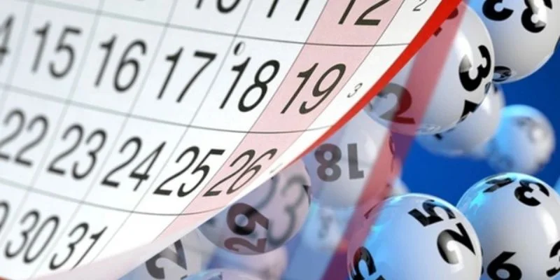 Nuôi lô theo chu kỳ cố định để không bỏ lỡ con số tiềm năng.